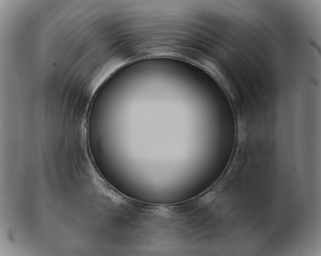 X0000103470814200809191834