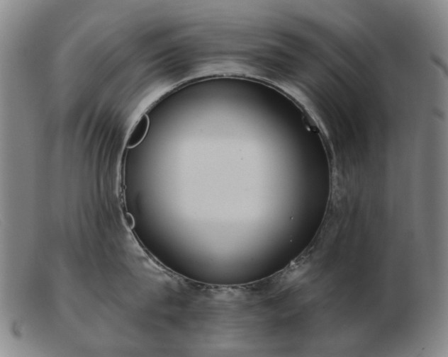 X0000103470815200809191834