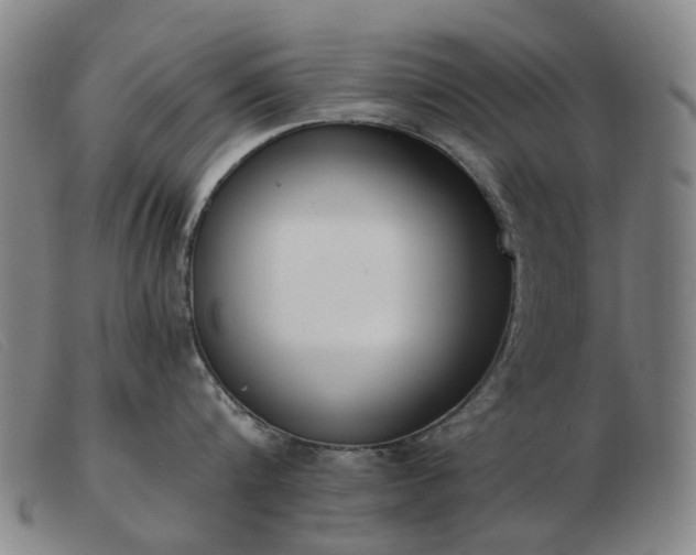 X0000103470816200809191834