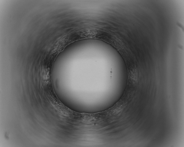 X0000103470818200809191833