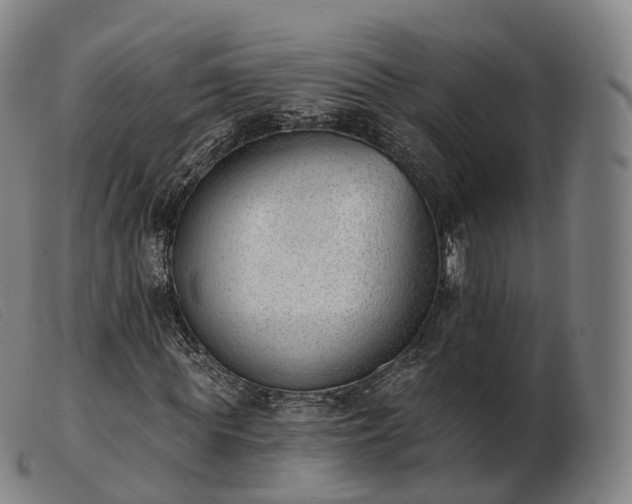 X0000103470819200809191833