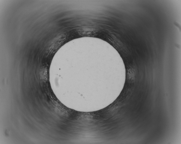 X0000103470820200809191833