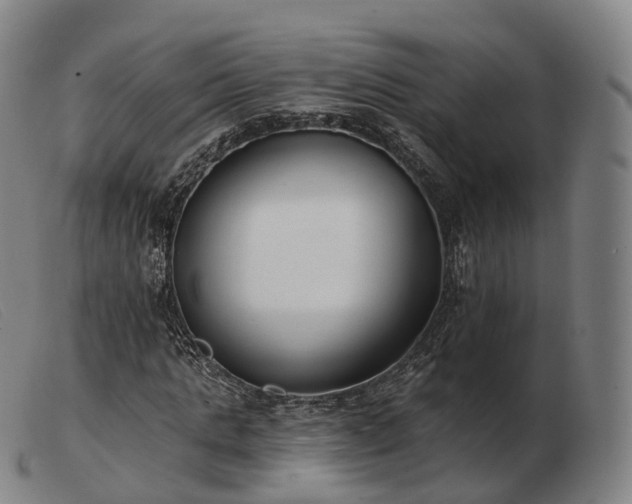 X0000103470821200809191833