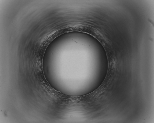 X0000103470822200809191833