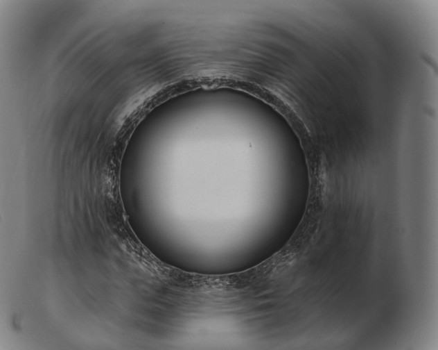 X0000103470823200809191833