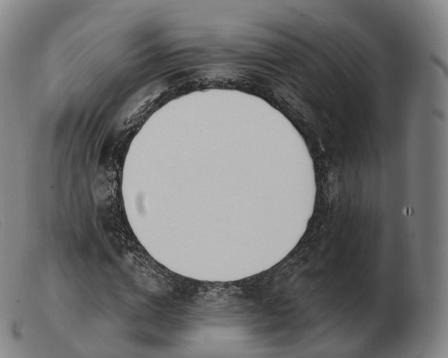 X0000103470824200809191833