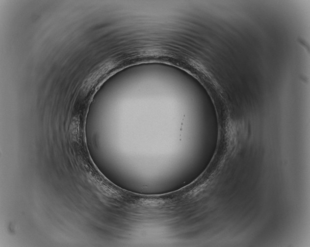 X0000103470825200809191833