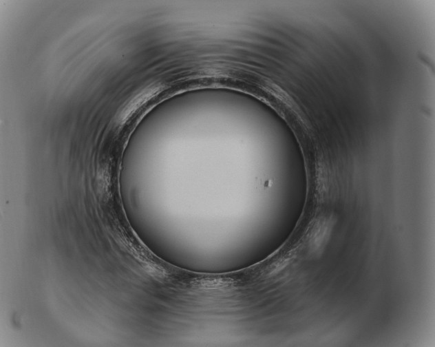 X0000103470826200809191833