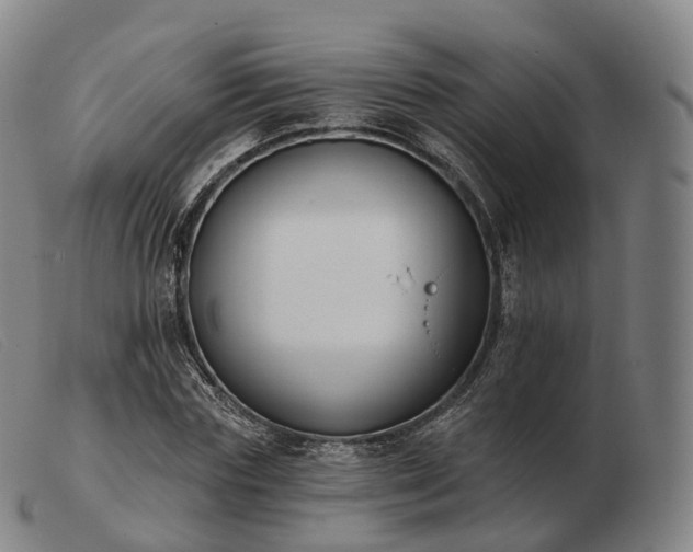 X0000103470827200809191833