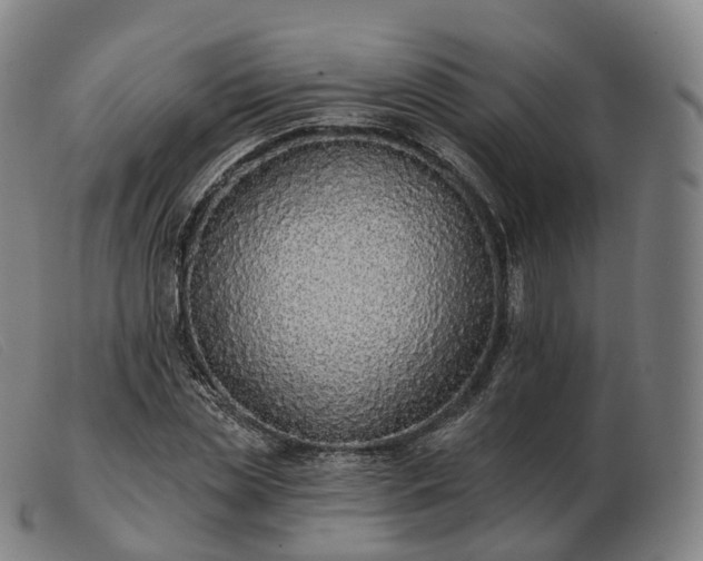 X0000103470829200809191833