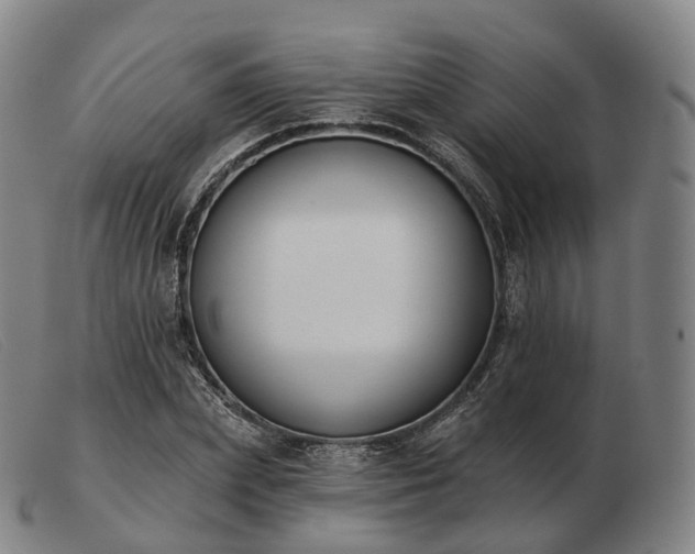 X0000103470831200809191833