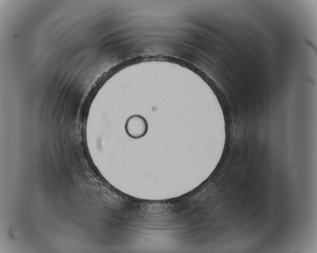 X0000103470832200809191833