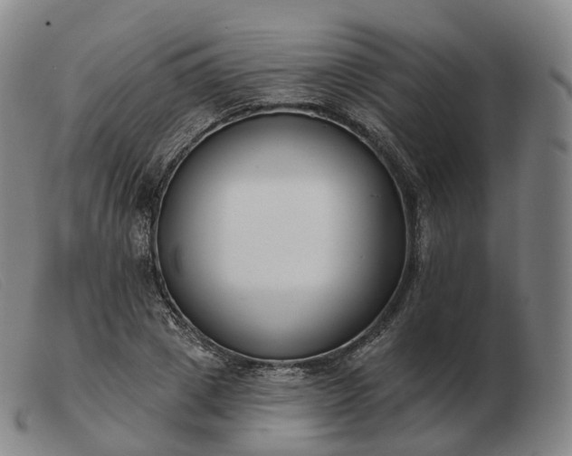 X0000103470833200809191833