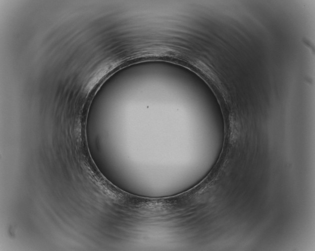 X0000103470834200809191833