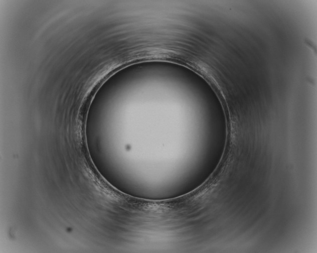 X0000103470835200809191833