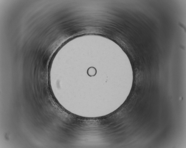 X0000103470836200809191833