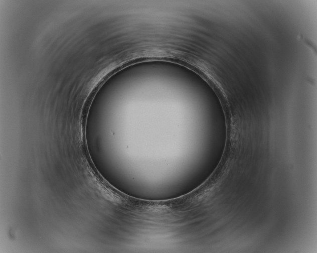 X0000103470837200809191833