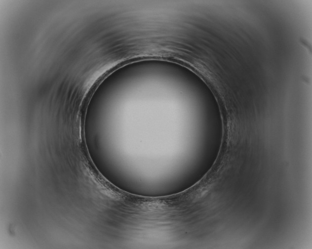 X0000103470838200809191833