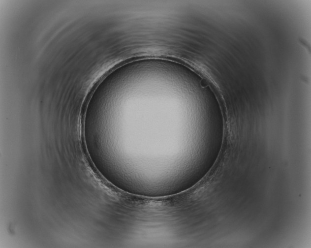 X0000103470839200809191833