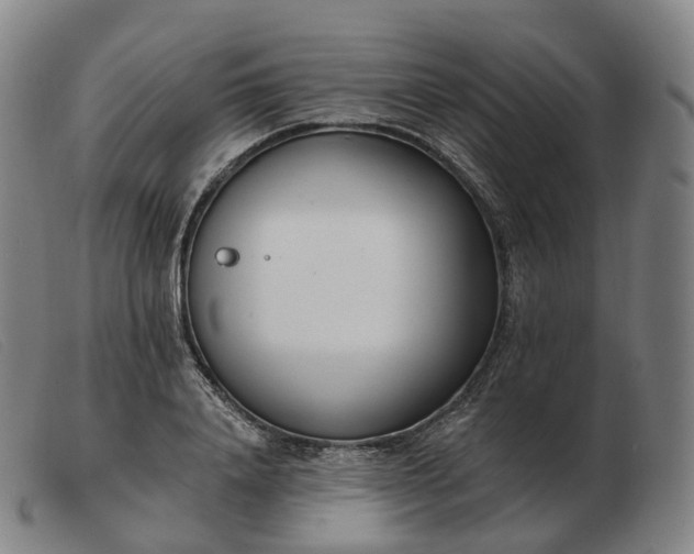 X0000103470840200809191833