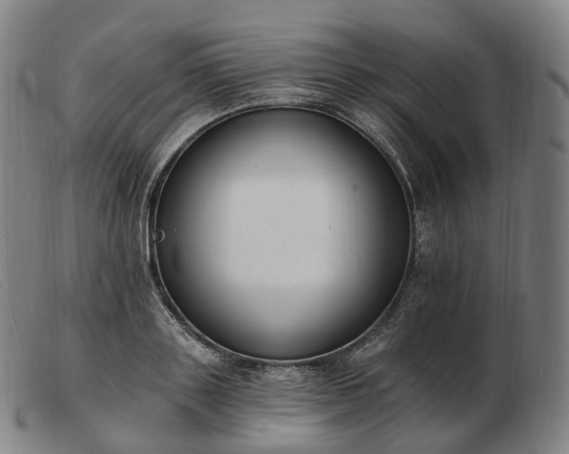 X0000103470843200809191833