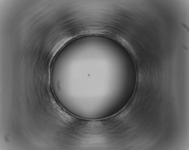 X0000103470844200809191833