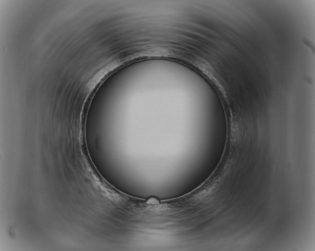 X0000103470845200809191833