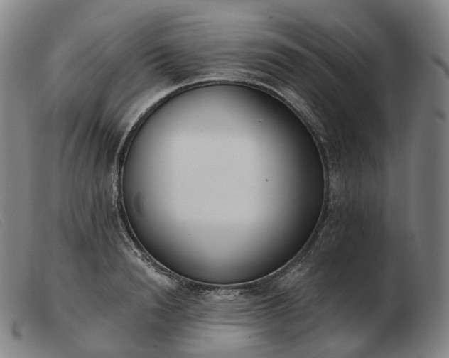 X0000103470846200809191833