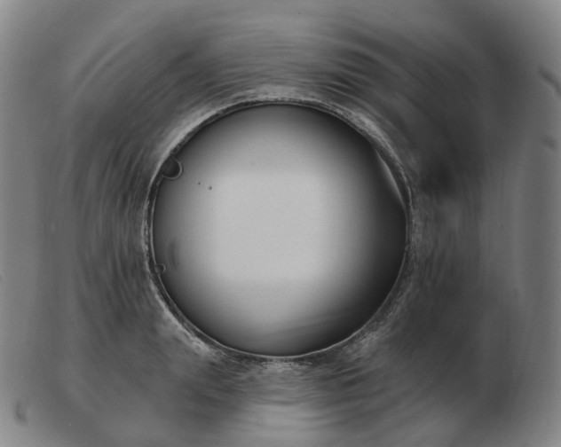 X0000103470847200809191833