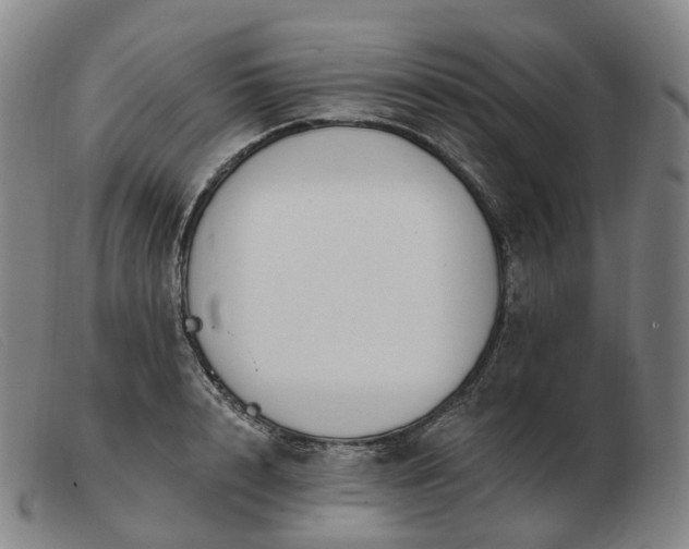 X0000103470848200809191833