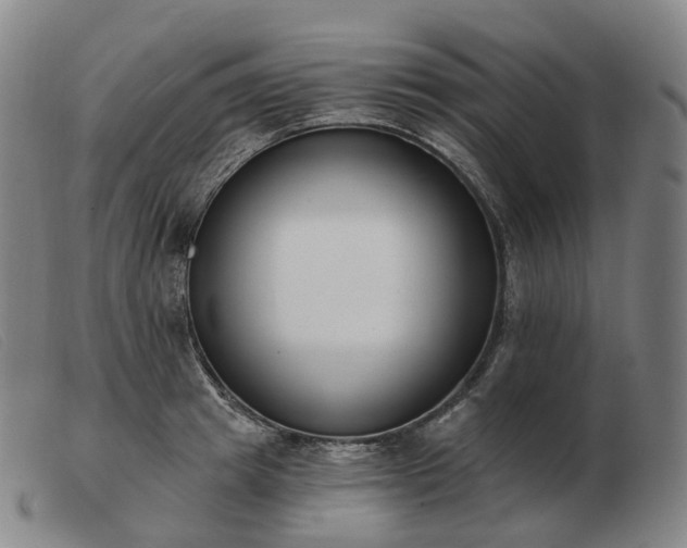 X0000103470849200809191834