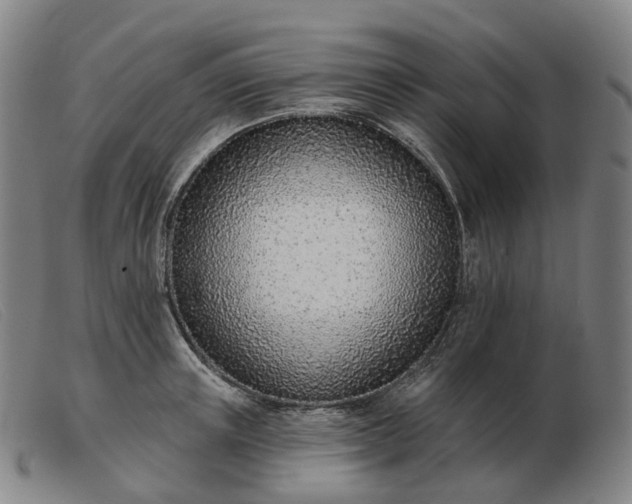 X0000103470851200809191834