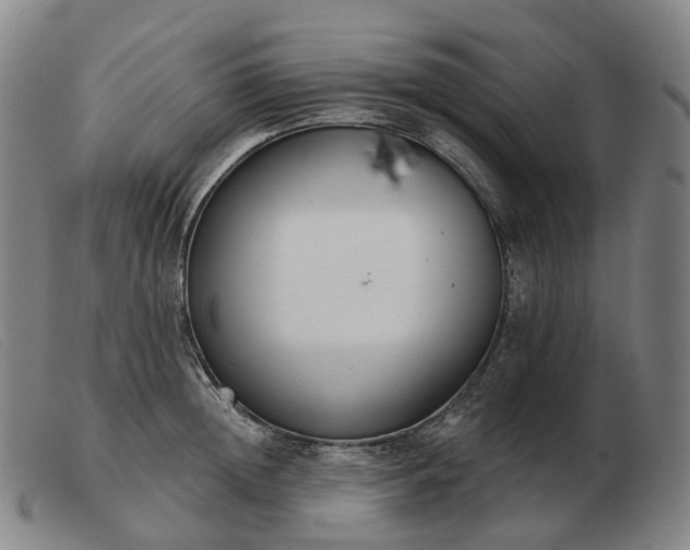 X0000103470852200809191834