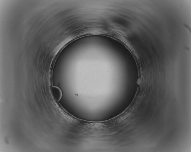 X0000103470853200809191834