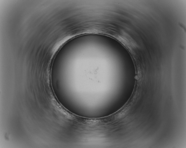 X0000103470854200809191834