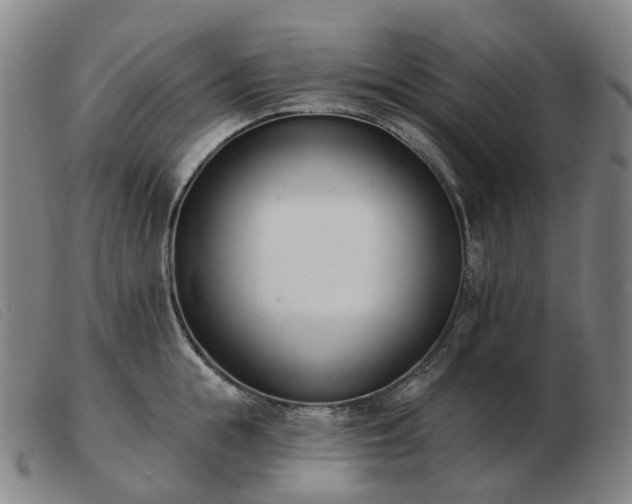 X0000103470855200809191834