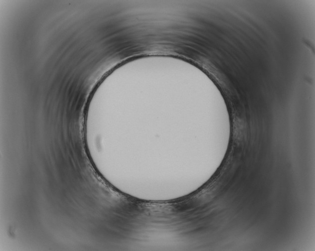 X0000103470856200809191834