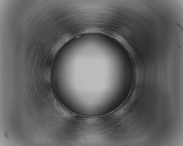 X0000103470857200809191834