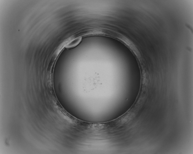 X0000103470858200809191834