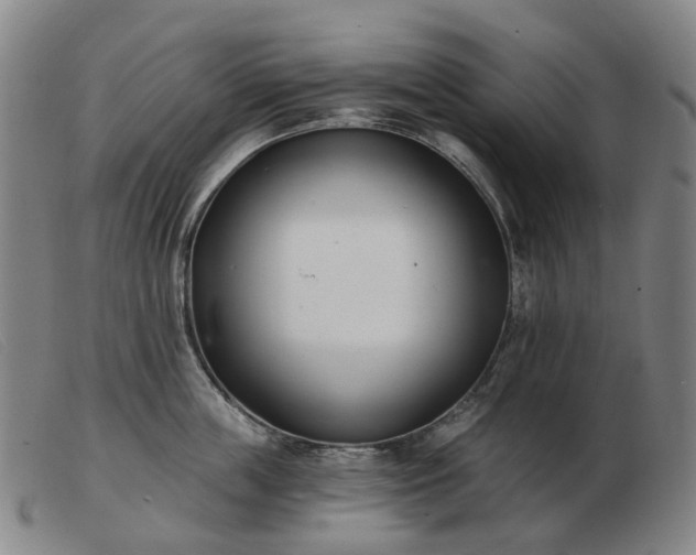 X0000103470859200809191834