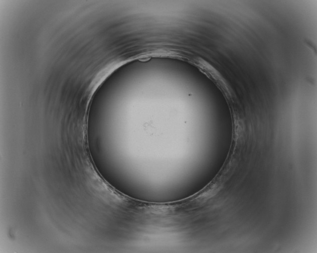 X0000103470860200809191834