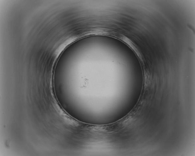 X0000103470861200809191834