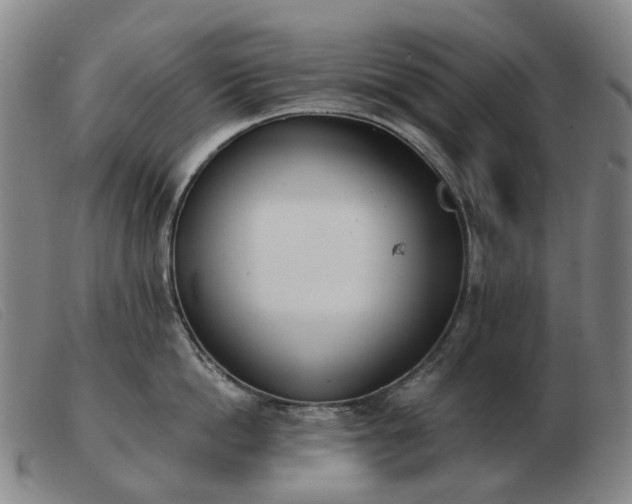 X0000103470862200809191834