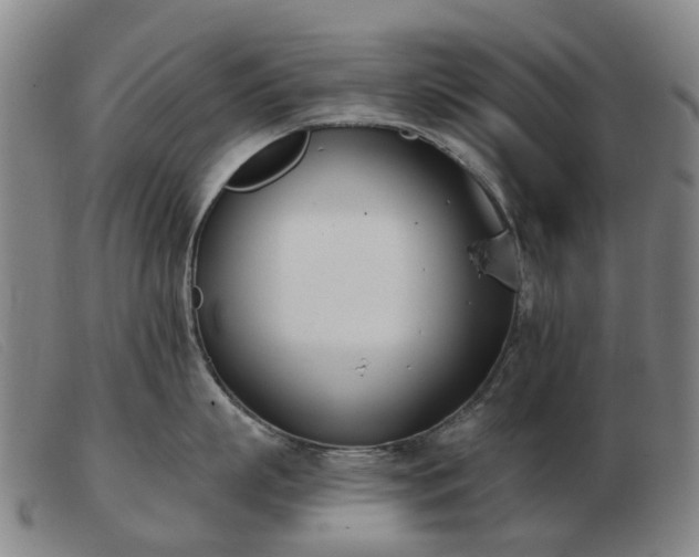 X0000103470863200809191834