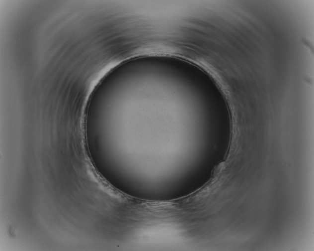 X0000103470864200809191834