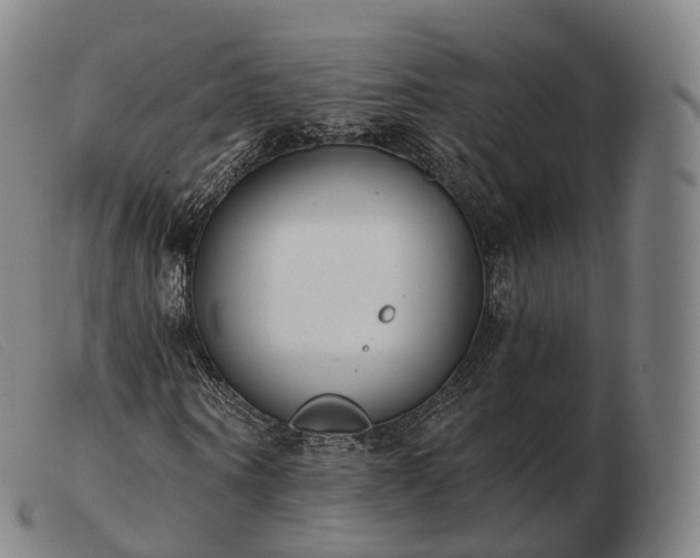 X0000103470866200809191833