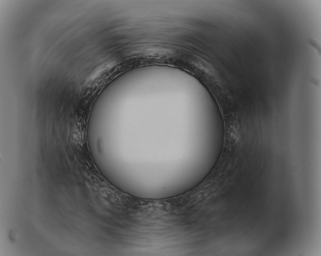 X0000103470869200809191833