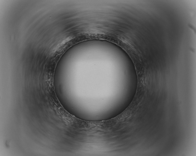 X0000103470870200809191833