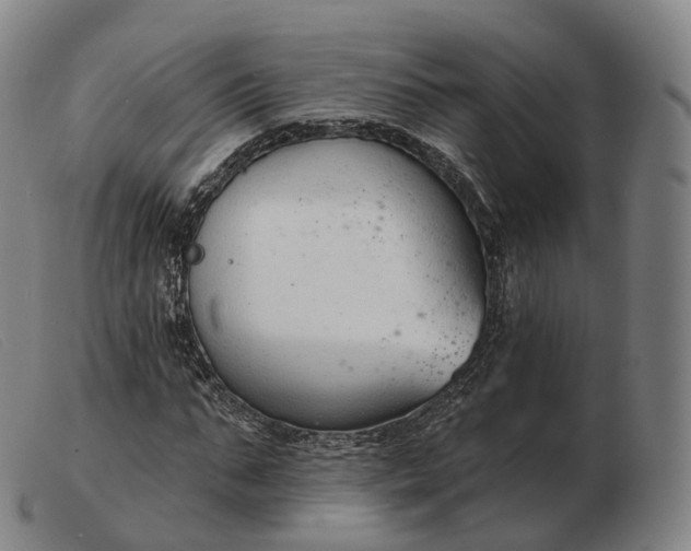 X0000103470871200809191833