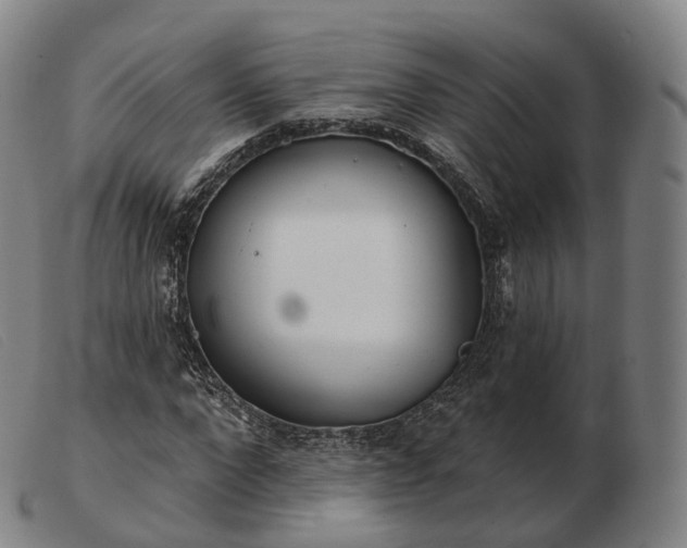 X0000103470872200809191833